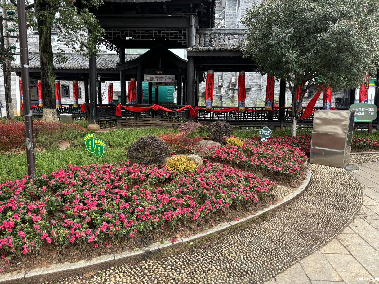 图片1_49678图片1