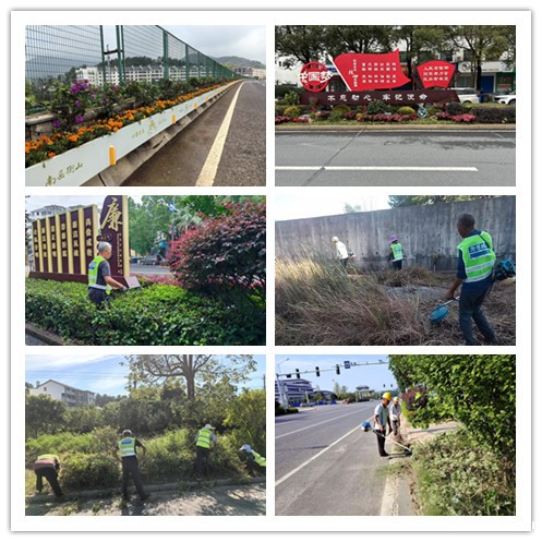 微信图片_20240719154236_副本